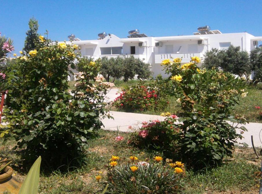 Nikos 2 Studios & Apartments Kardamena  Zimmer foto